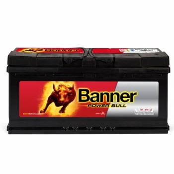 Banner Power Bull P10040 12V 100Ah 820A (EN)