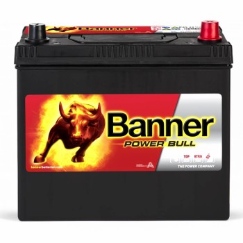 Banner Power Bull P4523 12V 45Ah 390A (EN)