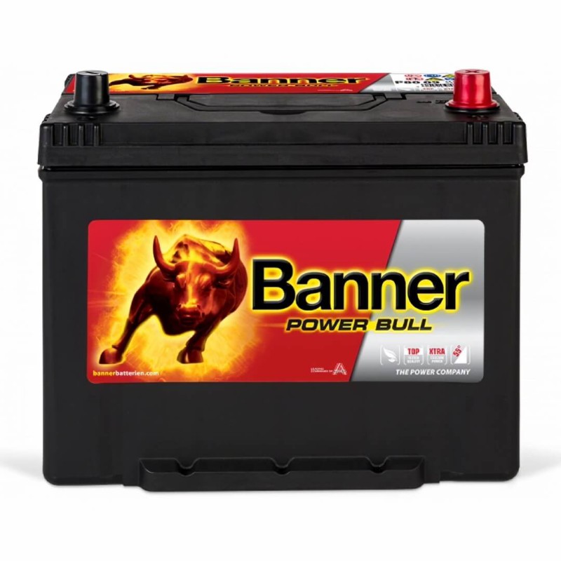 Banner Power Bull P8009 12V 80Ah 640A (EN)