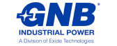 EXIDE GNB