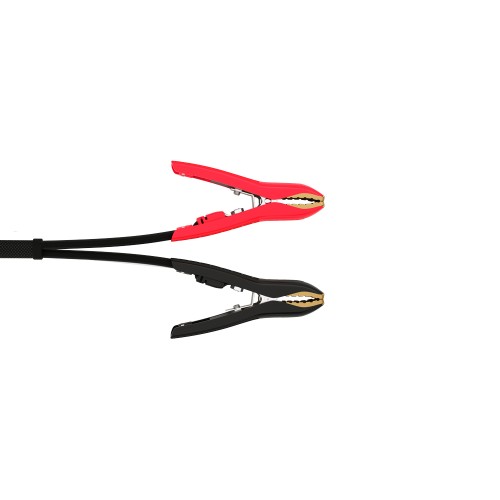 CTEK PRO60 12V 60A