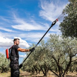 Μπαταρίες Ελαιοραβδιστικών