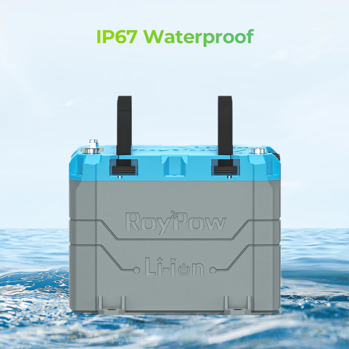 ROYPOW LiFePO4 B2450A 24V 50Ah 1280 (Wh)