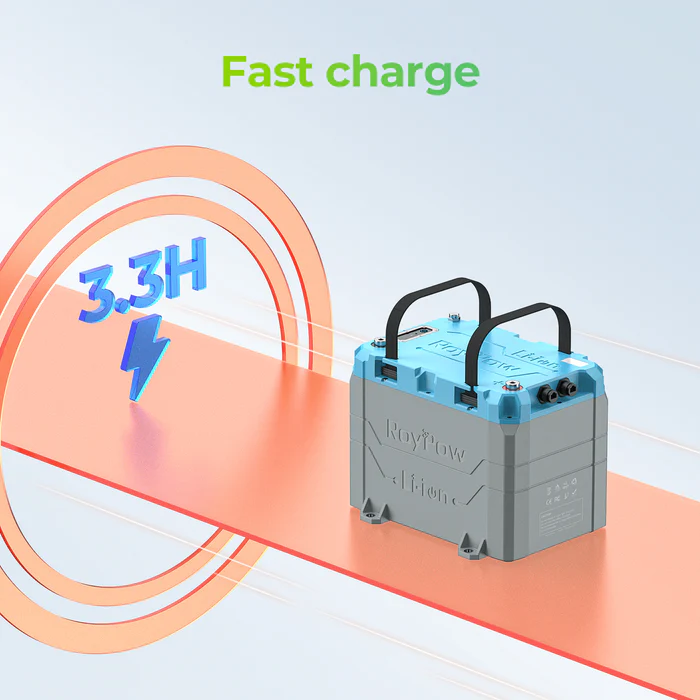 ROYPOW LiFePO4 B2450A 24V 50Ah 1280 (Wh)