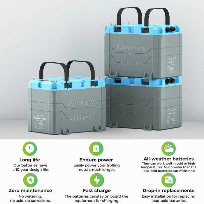 ROYPOW LiFePO4 B2450A 24V 50Ah 1280 (Wh)