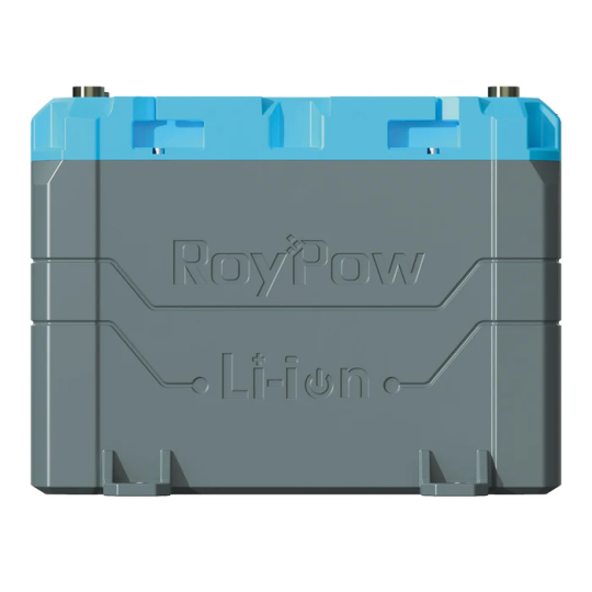 ROYPOW LiFePO4 B2450A 24V 50Ah 1280 (Wh)