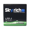 Skyrich LiFePO4 LFP-1 12V 2Ah 120A (CCA)