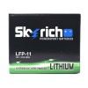Skyrich LiFePO4 LFP-11 12V 6Ah 360A (CCA)
