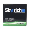 Skyrich LiFePO4 LFP-1 PLUS 12V 2.4Ah 150A (CCA)
