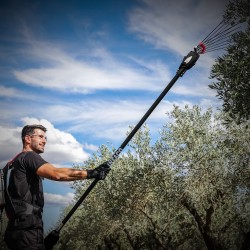 Μπαταρίες Ελαιοραβδιστικών